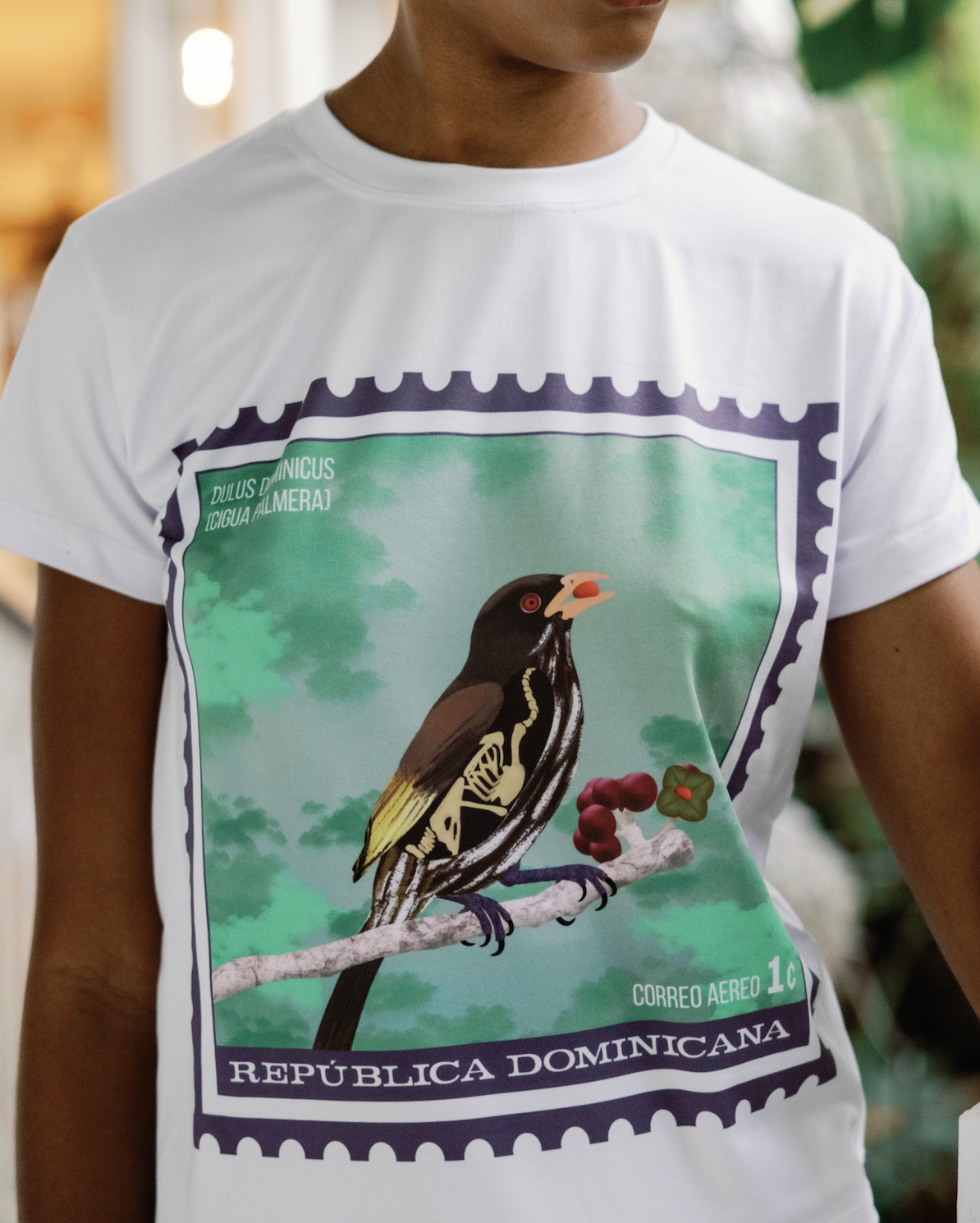 t-shirt cigua palmera souvenir dominicano